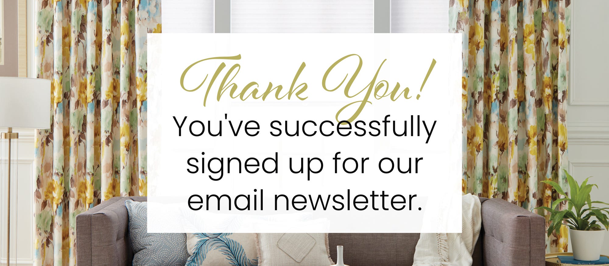 Thank you! You've successfully signed up for our email newsletter.